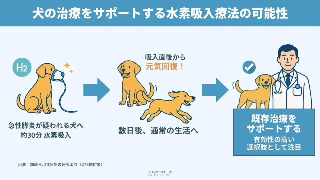 犬の治療補助としての水素吸入療法の効果
