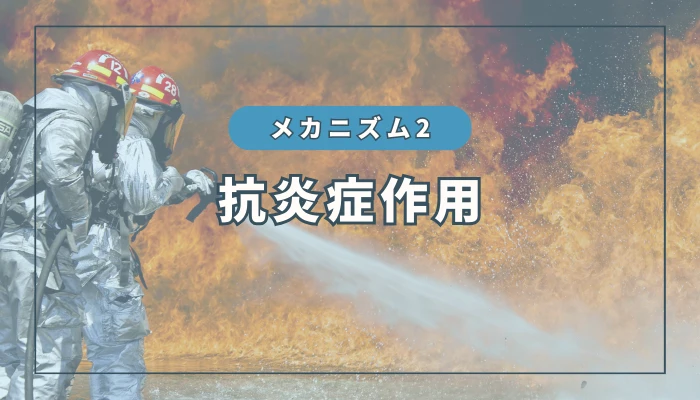 水素のメカニズム②：抗炎症作用