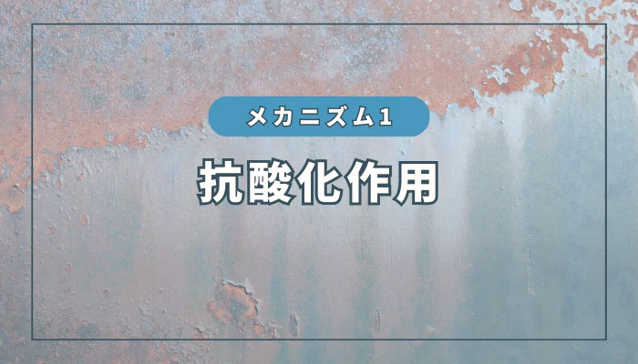 水素のメカニズム①：抗酸化作用