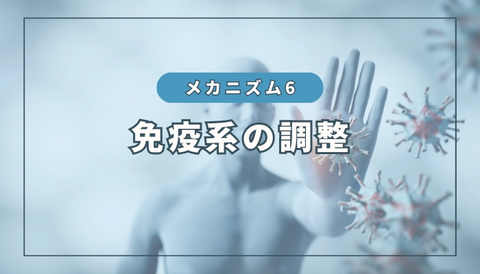 水素のメカニズム⑥：免疫系の調整作用