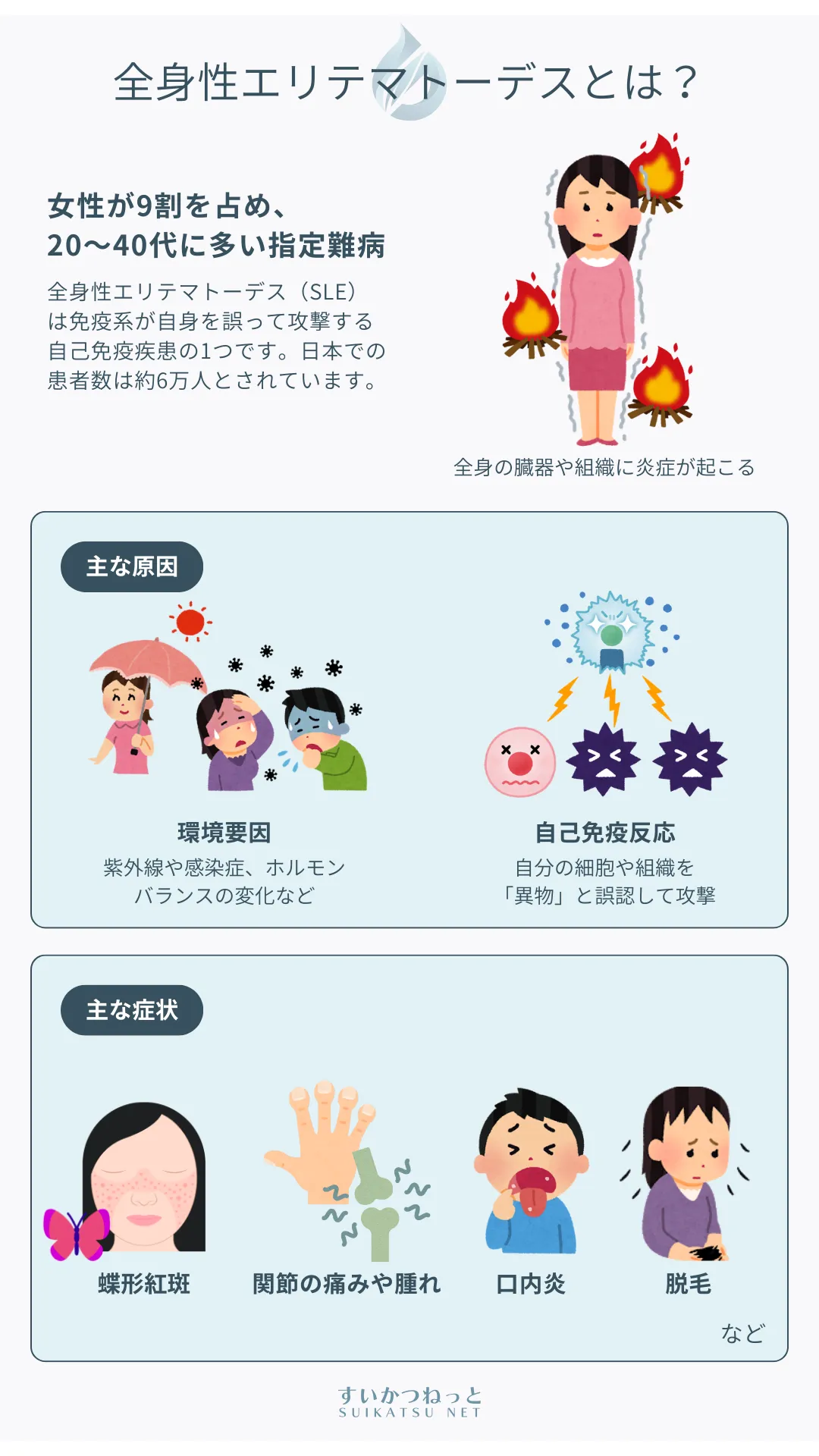 全身性エリテマトーデス（SLE）とは？｜「すいかつねっと」の疾患解説