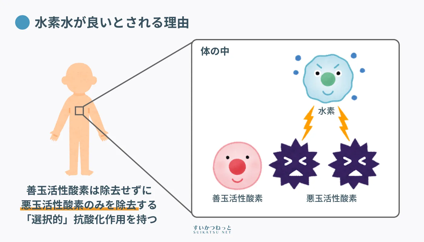 水素水が良いとされる理由は水素分子の選択的抗酸化作用によるもの