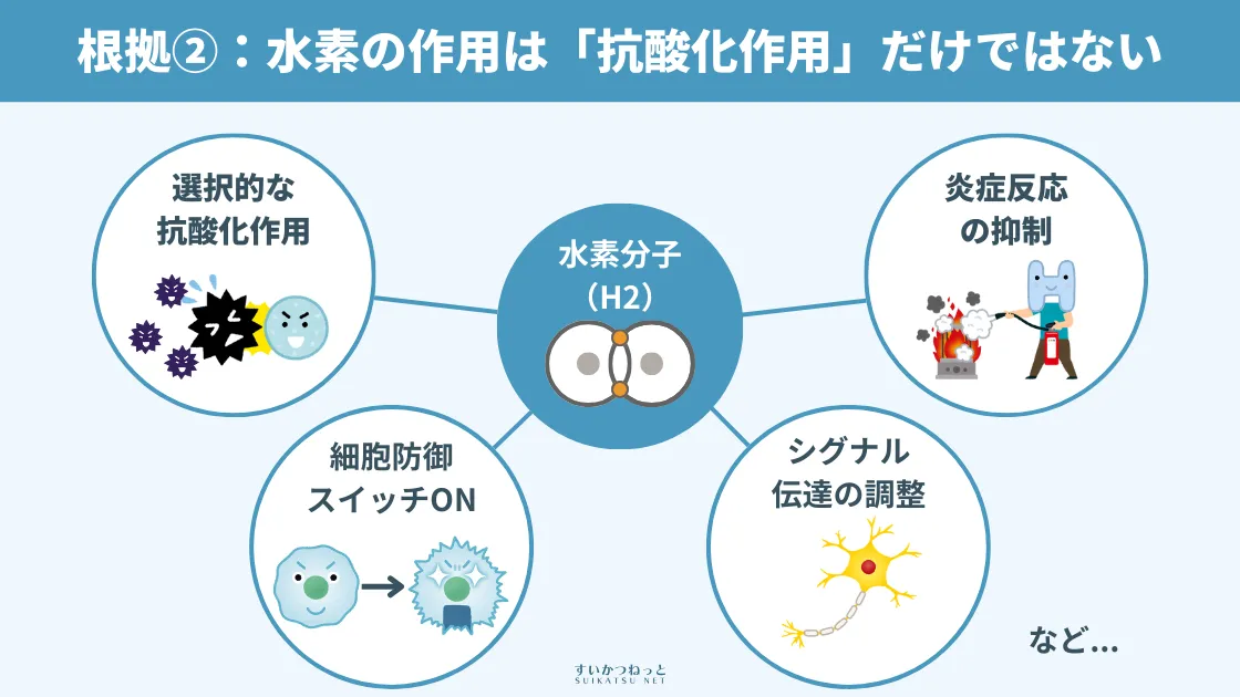 HHOガスではなくH2ガスで良い根拠②：水素が働くメカニズムは「抗酸化作用」だけではない