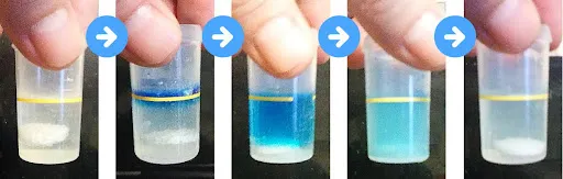 水の中に溶存水素濃度判定試薬を入れて、水の色が変化している様子