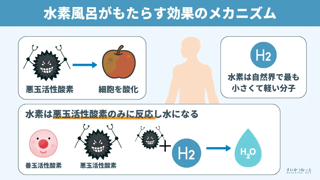 水素風呂がもたらす効果のメカニズム