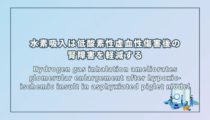 Hydrogen gas inhalation ameliorates glomerular enlargement after hypoxic-ischemic insult in asphyxiated piglet model（水素吸入は、新生児仮死モデルブタにおける低酸素性虚血性傷害後の糸球体肥大を軽減する）