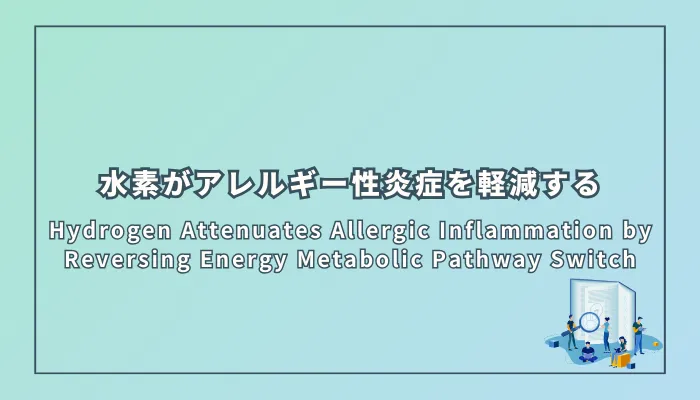 Hydrogen Attenuates Allergic Inflammation by Reversing Energy Metabolic Pathway Switch（水素がエネルギー代謝経路の切り替えを逆転させることでアレルギー性炎症を軽減する）