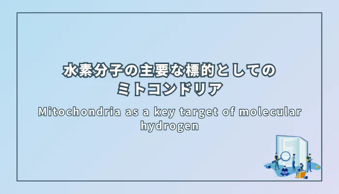 Mitochondria as a key target of molecular hydrogen（分子状水素の主要な標的としてのミトコンドリア）