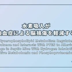 DGKζ in Glycerophospholipid Metabolism Regulates the DAG and PA Balance and Interacts With PTEN to Alleviate Brain Damage in Septic Mice With Hydrogen Inhalation: A Comparative Metabolomic and Phosphoproteomic Analysis（水素吸入によるグリセロリン脂質代謝の調節が敗血症マウスのDAGとPAのバランスを整え、PTENとの相互作用を介して脳損傷を軽減する：メタボロミクスおよびリン酸化プロテオミクスによる比較分析）