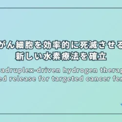 Nanoquadruplex-driven hydrogen therapy: NIR-controlled release for targeted cancer ferroptosis（ナノ四重奏体による水素療法：近赤外線で制御される放出が標的がん細胞のフェロトーシスを誘発する）