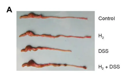 Kajiya et al., 2009, Fig.2A