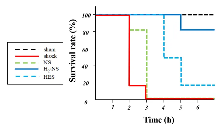 輸液後6時間の生存率