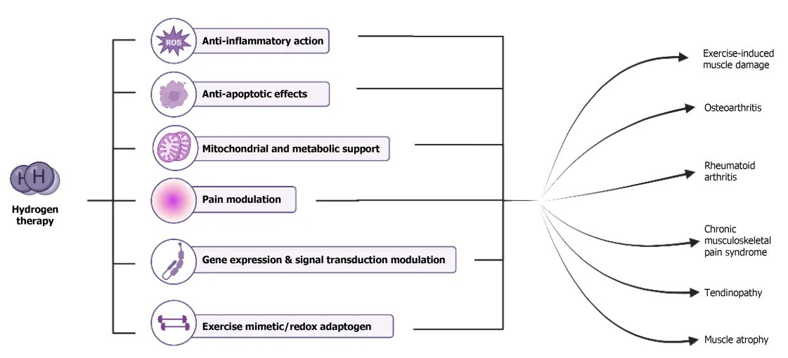 水素療法の6つの作用メカニズム（抗酸化、抗炎症、ミトコンドリア保護など）と、それぞれが関与する筋骨格系疾患の対応関係。（Jeyaraman et al., 2026, Fig.3より引用）