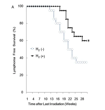 放射線照射後30週間の生存曲線。水素群（黒丸）が対照群（白丸）より有意に高い生存率を維持している（Zhao et al., 2011, Fig.1Aより引用）