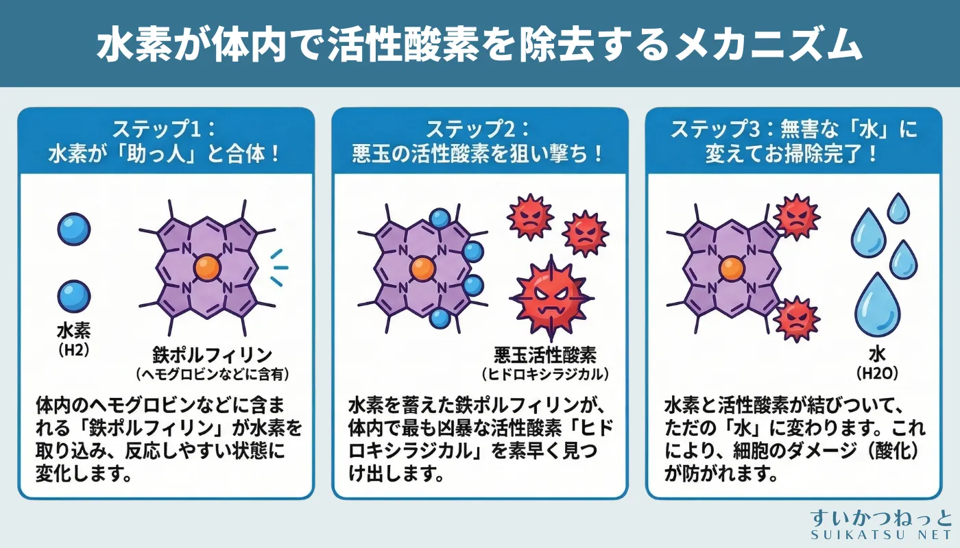 水素が体内で鉄ポルフィリンを触媒として活性酸素を除去するメカニズム